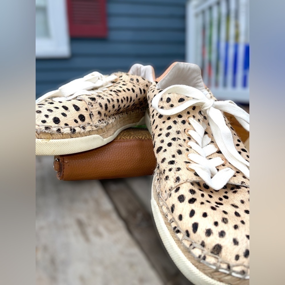 Dolce Vita Size 8.5 Women’s Madox Calf Hair Leopard-Print Sneakers •Low Top EGUC - Picture 2 of 16